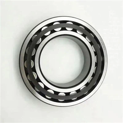 C 31/710 K CARB Toroidal Roller Bearing