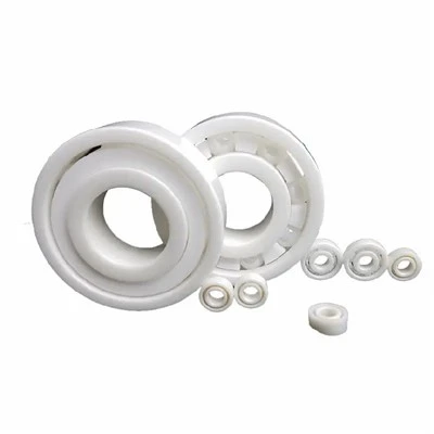 Full Ceramic Bearings